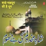 Shahe Makhdoom Ki Hai Dhoom - Jahid Naza Song Download